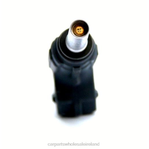6P2H339 types of motorcycle spare parts - FJ651 06A906031AB Fuel Injecto VW SKODA