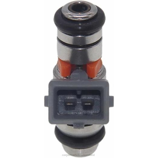 6P2H384 automotive parts wholesale market - IWP115 Fuel Injecto VW SKODA