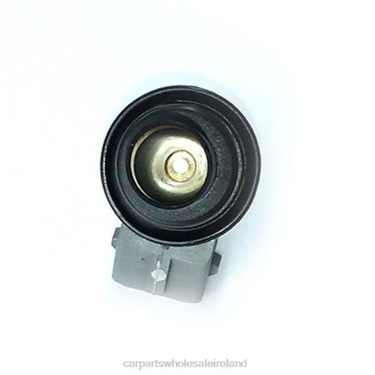 6P2H385 automotive parts wholesalers - WP176 Fuel Injecto VW SKODA