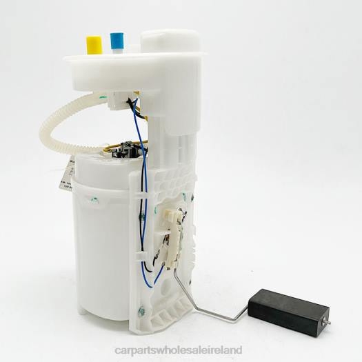 6P2H832 auto parts wholesale near me - Fuel Pump Module E8424M 1J0919051J 1J0919051B 405058005011Z for VW