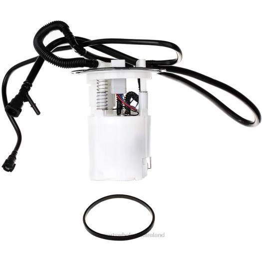 6P2H939 types of motorcycle spare parts - Fuel Pump Module E3755M FG0955 for GM